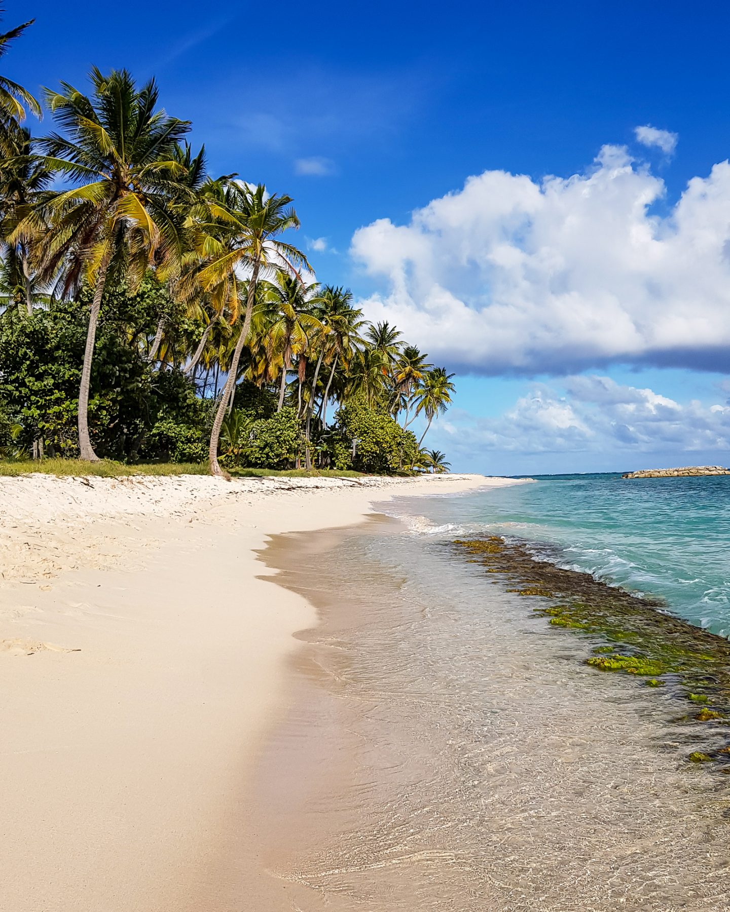 10 jours au paradis en Guadeloupe ! Mon top 7 des activités à faire